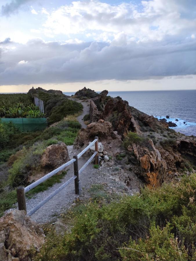 La Casita Del Sendero Lägenhet La Guancha Exteriör bild